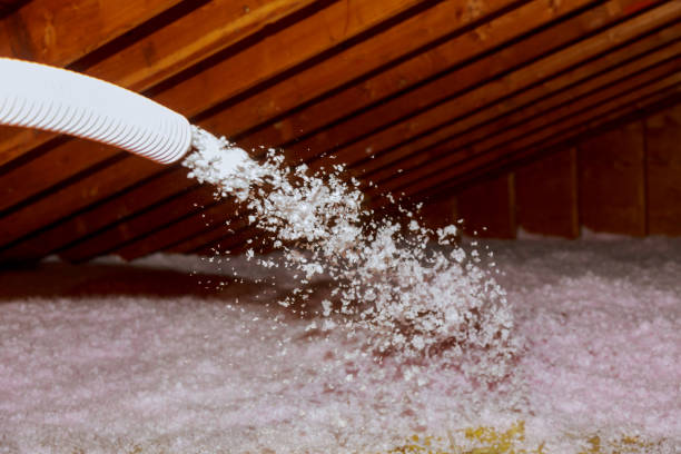 Best Spray Foam Insulation in Hot Springs Village, AR