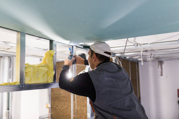 Types of Insulation We Offer in Hot Springs Village, AR